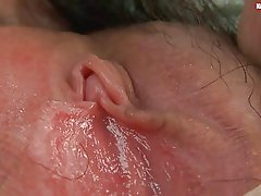 Dlakavi solo azijskih pogodbenice in mokro