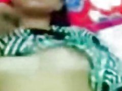 Bujnih prsi Malajščina sramežljiv, plašen mačka