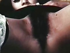 Madame vong &amp; s nevarnih oči